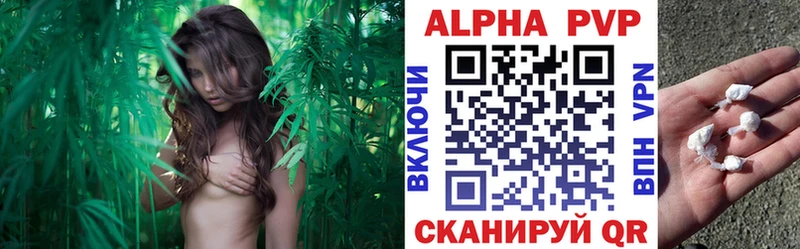 Купить закладку Сосновоборск Бошки Шишки A PVP ГАШИШ Меф мяу мяу