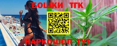 гашик Кудрово