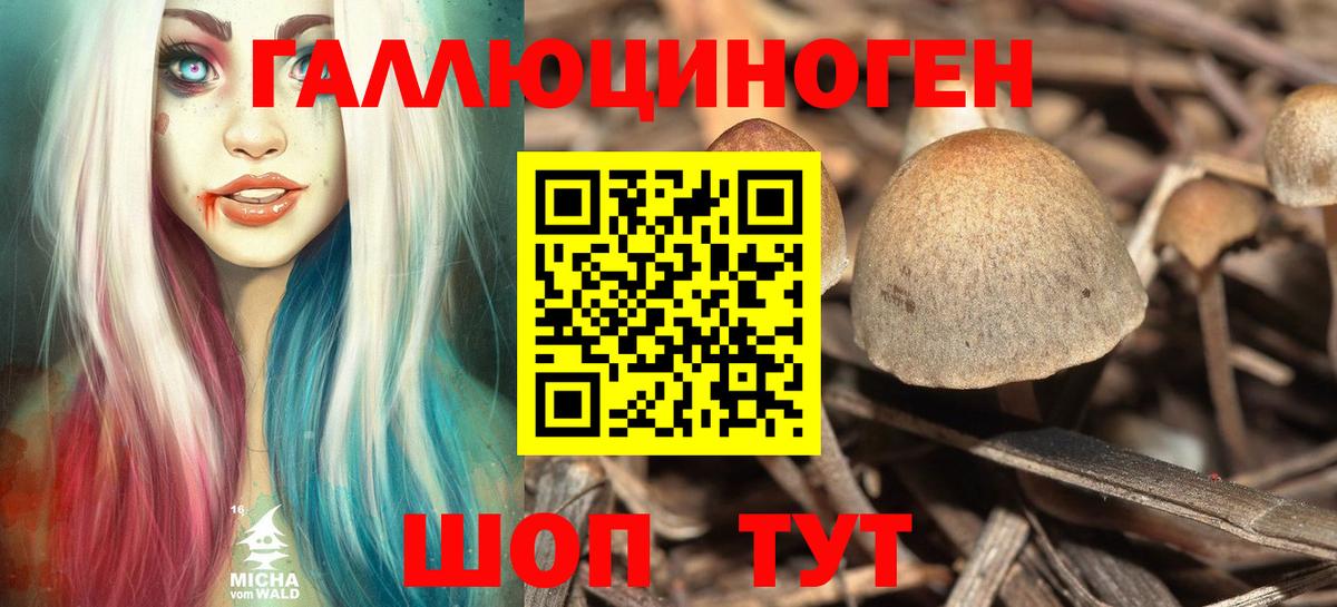 где найти наркотики  Галлюциногенные грибы Psilocybine cubensis  Вход с VPN  Сосновоборск 
